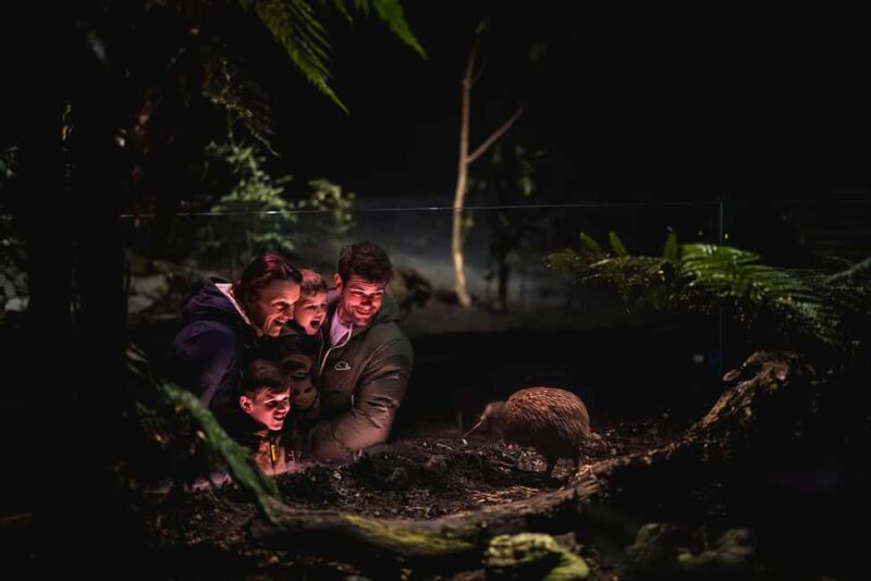 Kiwi Park Admission Ticket - Final Thoughts