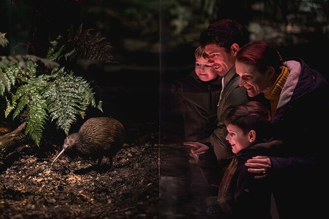 Kiwi Park Queenstown Admission - In-Depth Review of Kiwi Park Queenstown