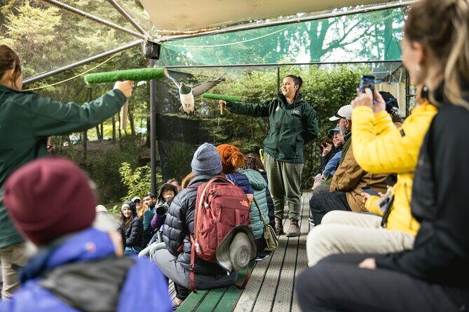 Kiwi Park Queenstown Admission - Final Thoughts