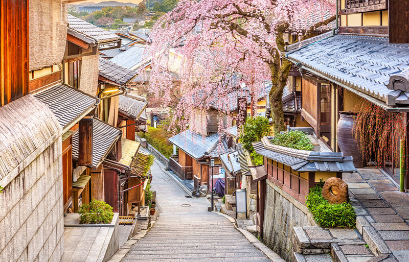 Kiyomizu-dera, Kinkaku-ji, and Fushimi Inari One-Day Tour - Fushimi Inari: follow the torii gates at your own pace
