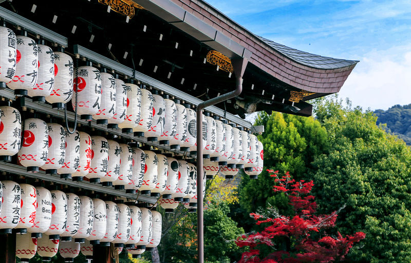 Kiyomizu-dera, Kinkaku-ji, and Fushimi Inari One-Day Tour - Lunch: useful if speed matters, not a sure bet for food lovers