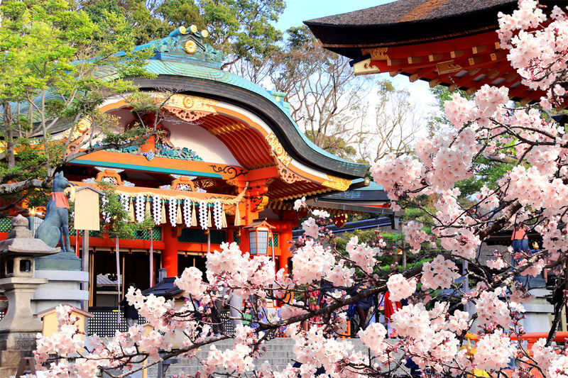 Kiyomizu-dera, Kinkaku-ji, and Fushimi Inari One-Day Tour - Is $44.85 good value?