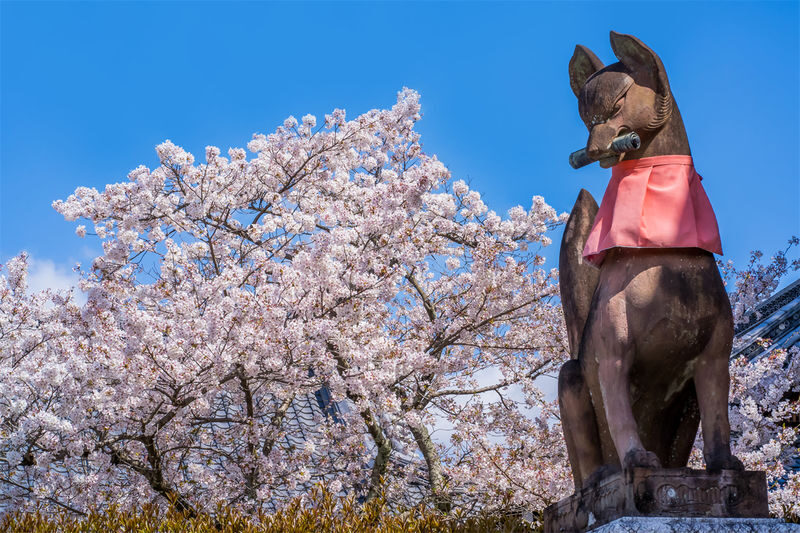 Kiyomizu-dera, Kinkaku-ji, and Fushimi Inari One-Day Tour - Who should book this Kyoto day tour?