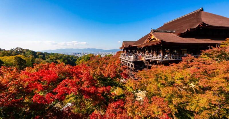 Kiyomizu Temple and Backstreet of Gion Half Day Group Tour - Key Points