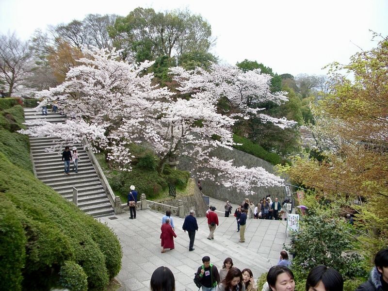 Kiyomizudera, Yasaka Shrine Discovery Walking Tour - Key points at a glance