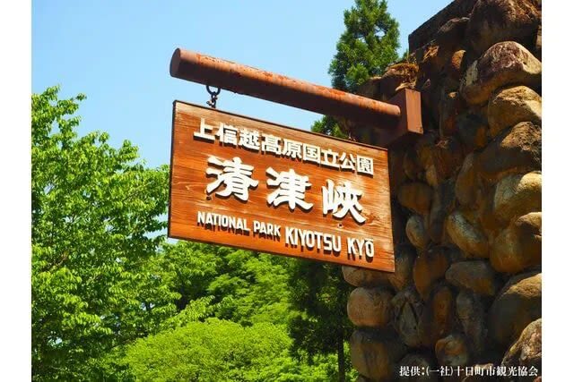 Kiyotsu Gorge Tunnel Admission - Booking online is useful, but check the ticket type