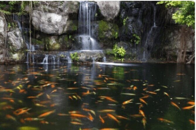 KL in a Day: 10-Hour Adventure Through the Heart of the City - The Sum Up