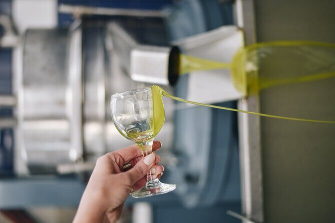 Kleanthi Olive Farm: Guided Tour with Local Delicacies Tasting - Wrapping Up