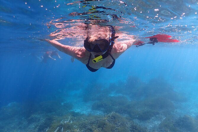 Klein Bonaire Marine Park Snorkeling Excursion - Meeting Point and Logistics