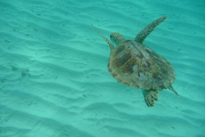 Klein Curacao Daytrip - All Inclusive Full Day Boat Tour - Final Thoughts