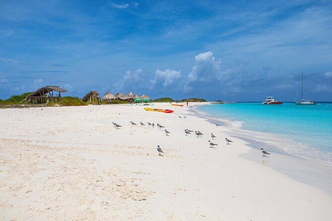 Klein Curacao Sunset Cruise with Open Bar and BBQ - A Deep Dive Into the Klein Curacao Sunset Cruise Experience