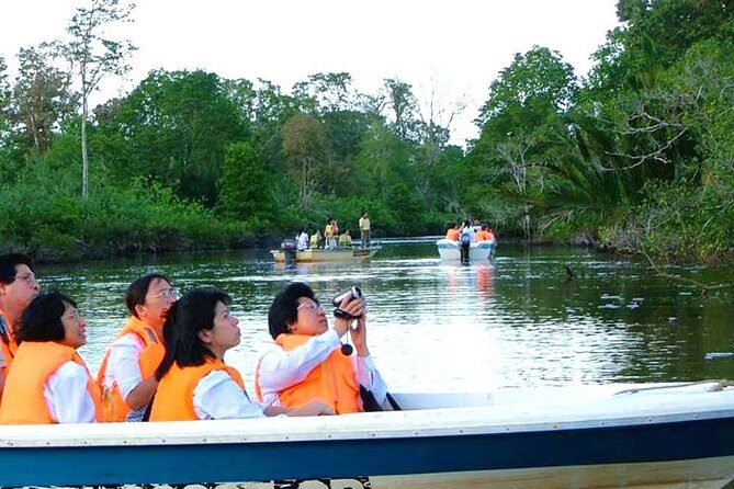 Klias River Fireflies & Wildlife Safari Cruise from Kota Kinabalu - Overview of the Klias River Fireflies & Wildlife Safari Cruise