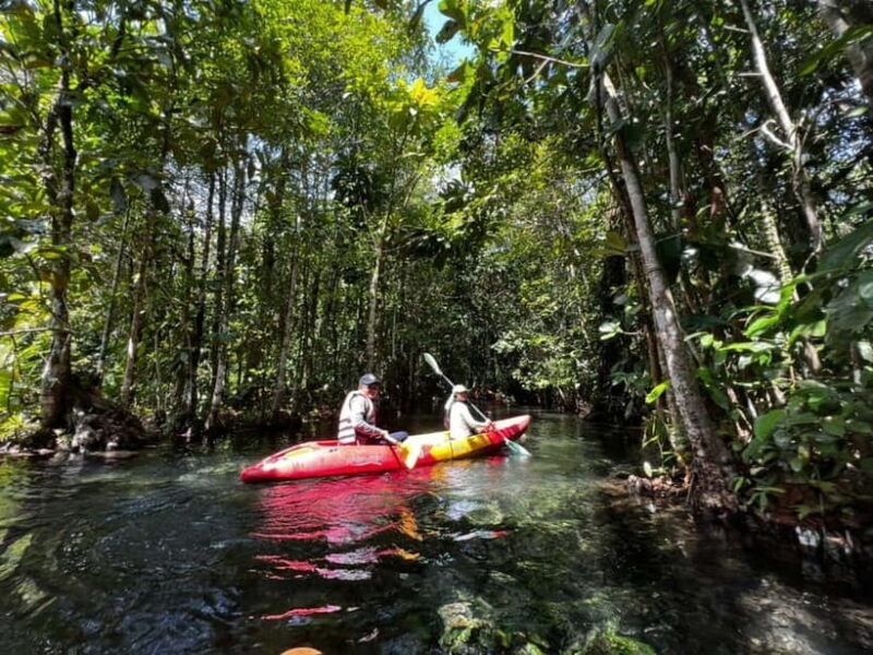 Klong Rud Kayaking with Hotel Transfer - Authentic Experiences and Real Traveler Insights