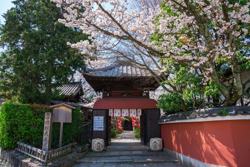 Klook Exclusive: Kyoto Fushimi Jikkokubune Half-Day Small Group Cherry Blossom Tour - Picking the meal that fits your day