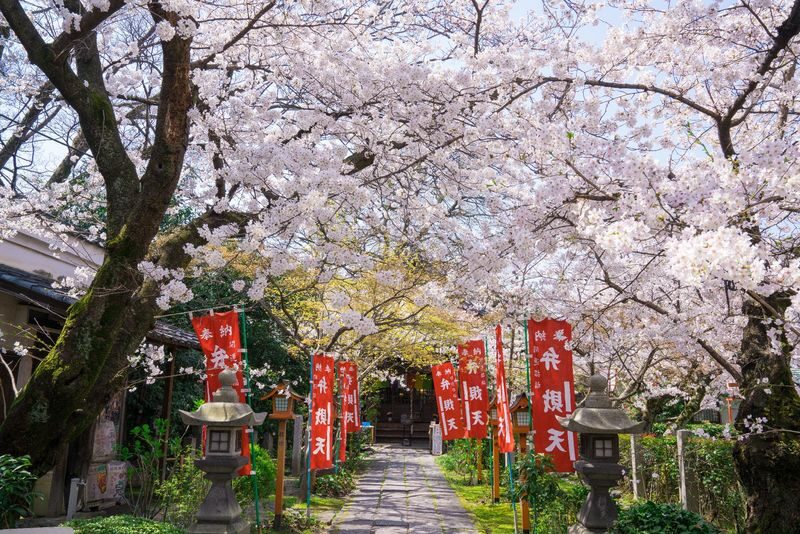 Klook Exclusive: Kyoto Fushimi Jikkokubune Half-Day Small Group Cherry Blossom Tour - Cost, timing, and practical limits