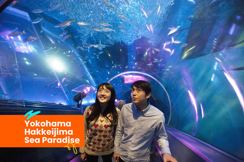 Klook Pass Yokohama - Choosing your activities