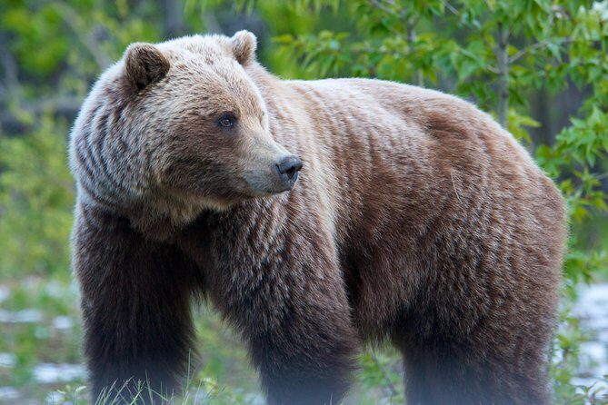 KLUANE NATIONAL PARK - Day-Trip from Whitehorse - Remember