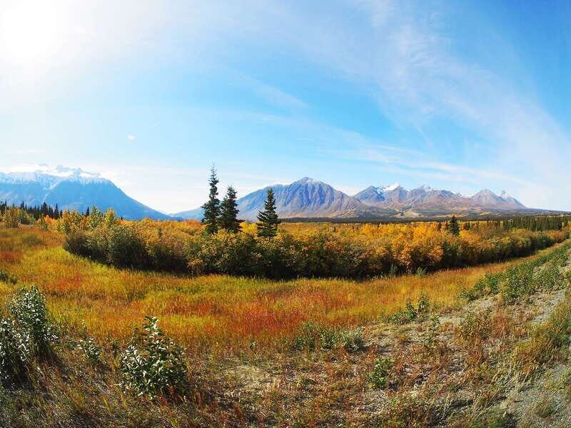 Kluane National Park: Full Day Tour - A Practical, In-Depth Look at the Kluane National Park Full Day Tour