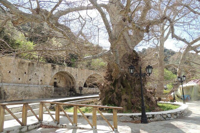Knossos & Lasithi Plateau: Land of Zeus, Villages, Olive Oil Tour - Value and Practical Considerations