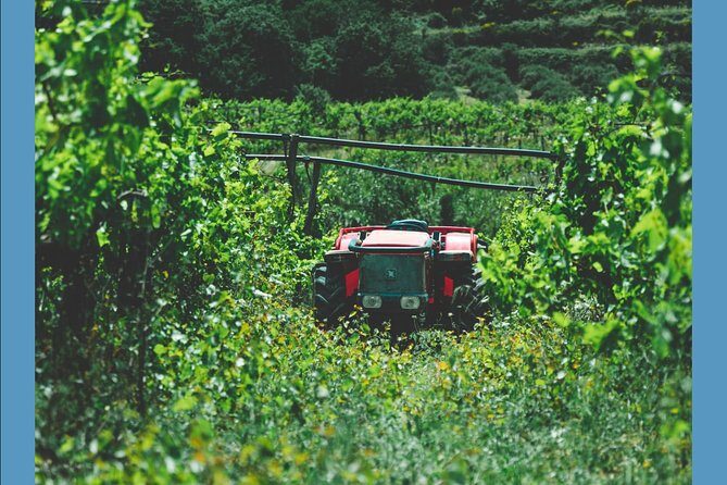 Knossos Wine & More - FAQs