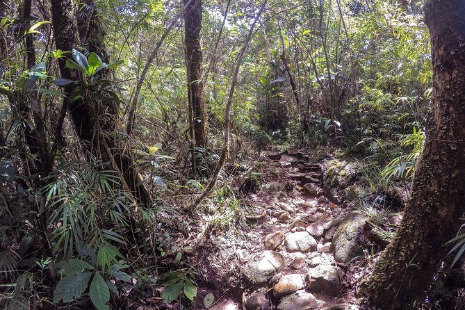 Knuckles Leopard trail Trek from Kandy - Final Words: Is it Worth It?