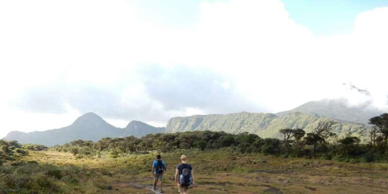 Knuckles Leopard trail Trek from Kandy - Why This Tour Works Well for Travelers