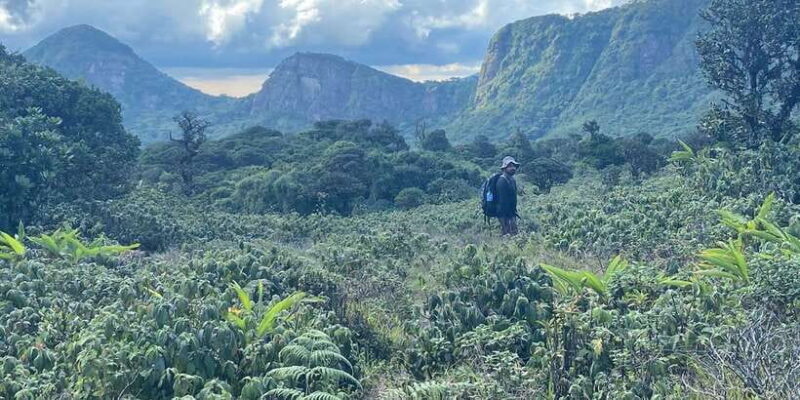 Knuckles Leopard trail Trek from Kandy - Final Thoughts: Who Should Consider This Tour?