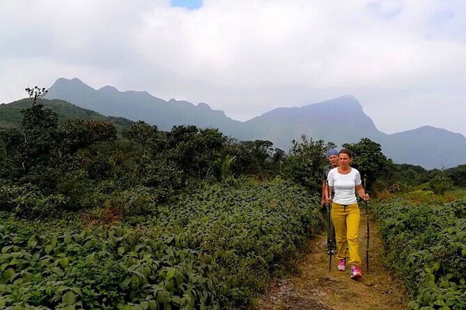 Knuckles Mountain Range Hiking and Trekking Day Tour From Kandy Hotels - Who Should Consider This Tour?