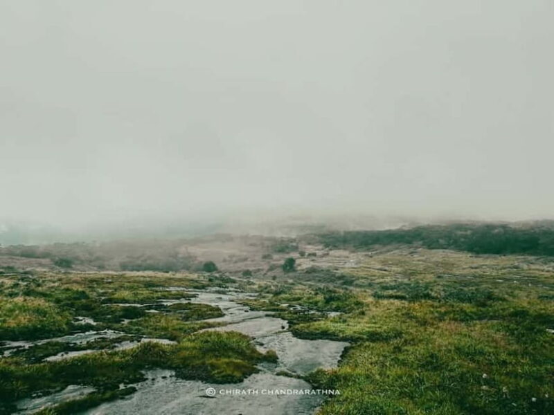 Knuckles Mountain Range: Kotaganga Waterfall Chain Hike - The Itinerary in Detail