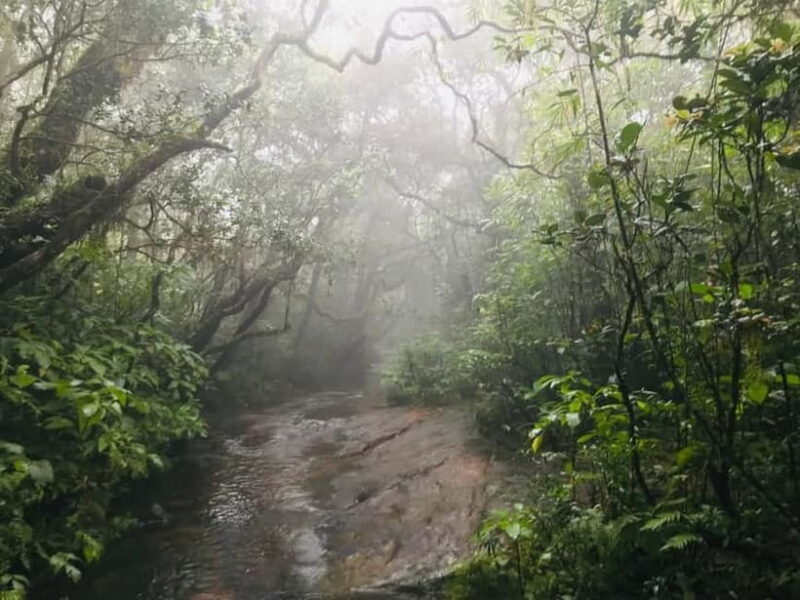 Knuckles Mountain Range: Kotaganga Waterfall Chain Hike - FAQ