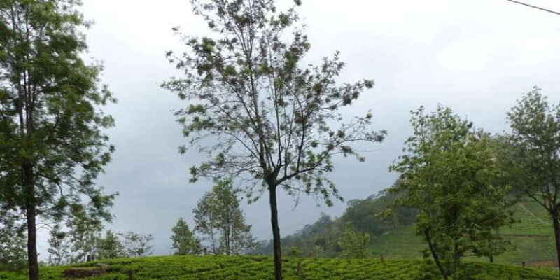 Knuckles Spice Trail Trek from Kandy - Final Thoughts