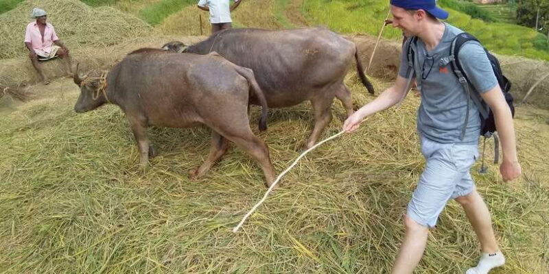 Knuckles Spice Trail Trek from Kandy - FAQ