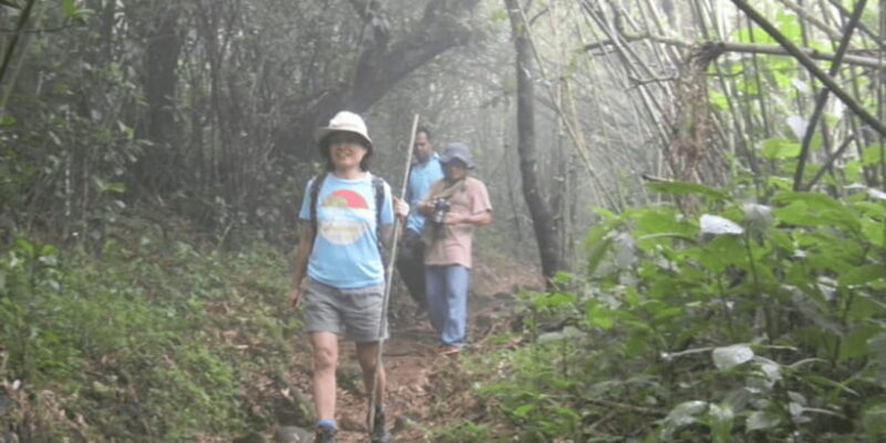 Knuckles Wilderness Waterfall Trek:Comprehensive Adventure - Who Would Benefit Most from This Tour?