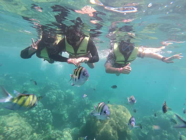 Ko Lanta: 4 Islands and Emerald Cave Day Tour by Speedboat - An Honest Look at the 4 Islands and Emerald Cave Tour