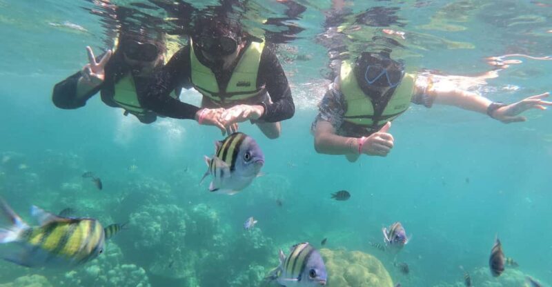 Ko Lanta: 4 Islands and Emerald Cave Day Tour by Speedboat - FAQ – Your Questions Answered