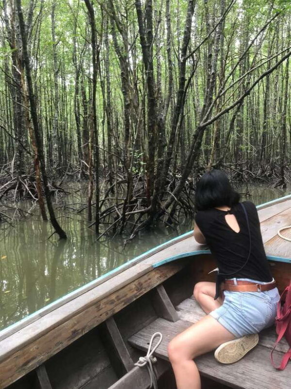 Ko Lanta: EXPLORE MANGROVE TOUR BY LONGTAIL BOAT WITH LUNCH - A Detailed Look at the Ko Lanta Mangrove Tour