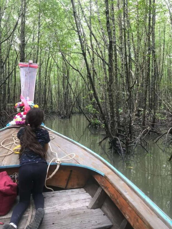 Ko Lanta: EXPLORE MANGROVE TOUR BY LONGTAIL BOAT WITH LUNCH - Final Thoughts: Is This Tour Worth It?