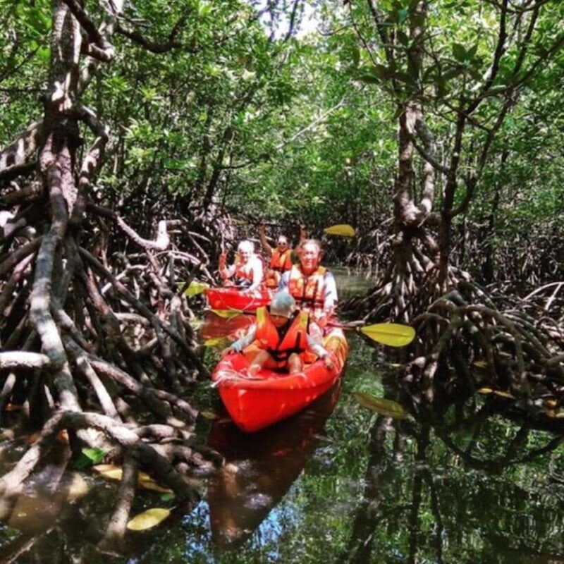 Ko Lanta: HALF DAY EXPLORE MANGROVE KAYAKING TOUR AND LUNCH - Key Points