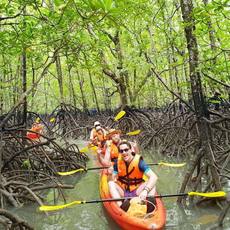 Ko Lanta: HALF DAY EXPLORE MANGROVE KAYAKING TOUR AND LUNCH - A Deep Dive into the Experience