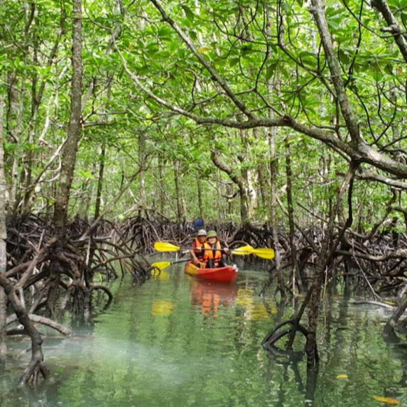 Ko Lanta: HALF DAY EXPLORE MANGROVE KAYAKING TOUR AND LUNCH - Practical Tips for Travelers