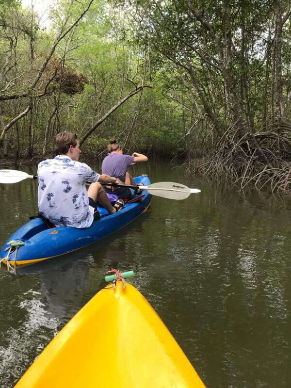Ko Lanta: HALF DAY EXPLORE MANGROVE KAYAKING TOUR AND LUNCH - Who Will Love This Tour?