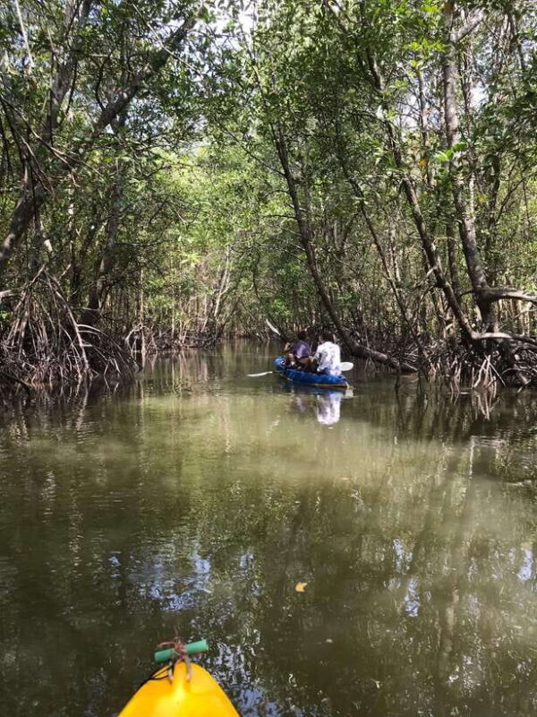 Ko Lanta: HALF DAY EXPLORE MANGROVE KAYAKING TOUR AND LUNCH - Final Thoughts