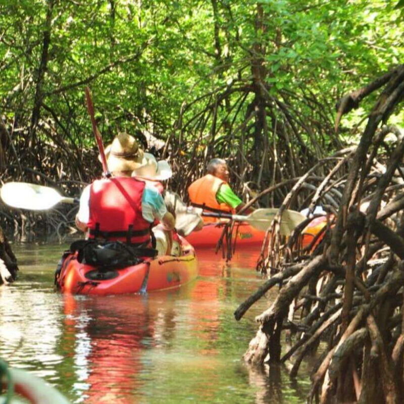 Ko Lanta: HALF DAY EXPLORE MANGROVE KAYAKING TOUR AND LUNCH - FAQ