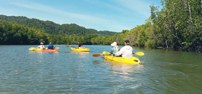 Ko Lanta: Half-Day Mangrove Eco Kayak Experience with Lunch - Breaking Down the Itinerary