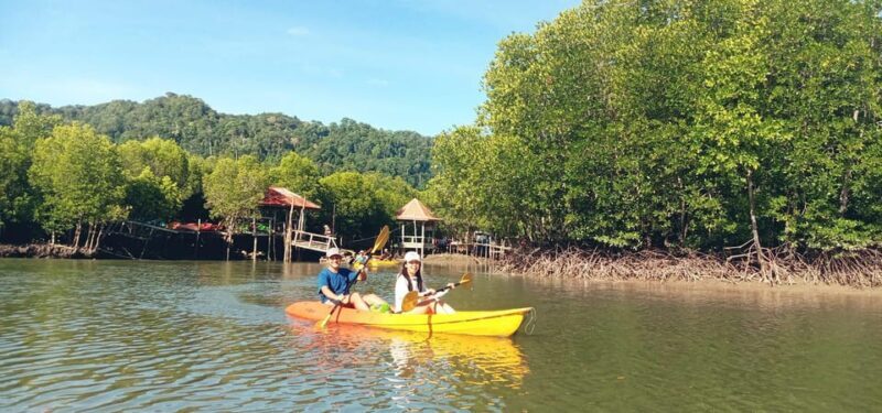 Ko Lanta: Half-Day Mangrove Eco Kayak Experience with Lunch - The Value of This Eco-Kayak Experience