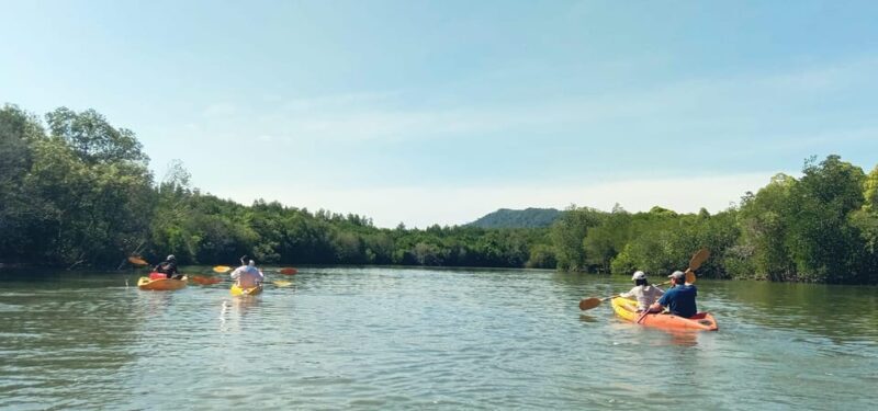Ko Lanta: Half-Day Mangrove Eco Kayak Experience with Lunch - Who Should Consider This Tour