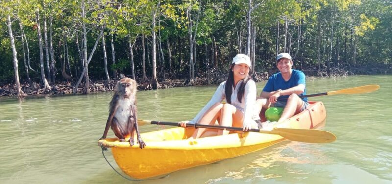 Ko Lanta: Half-Day Mangrove Eco Kayak Experience with Lunch - FAQ