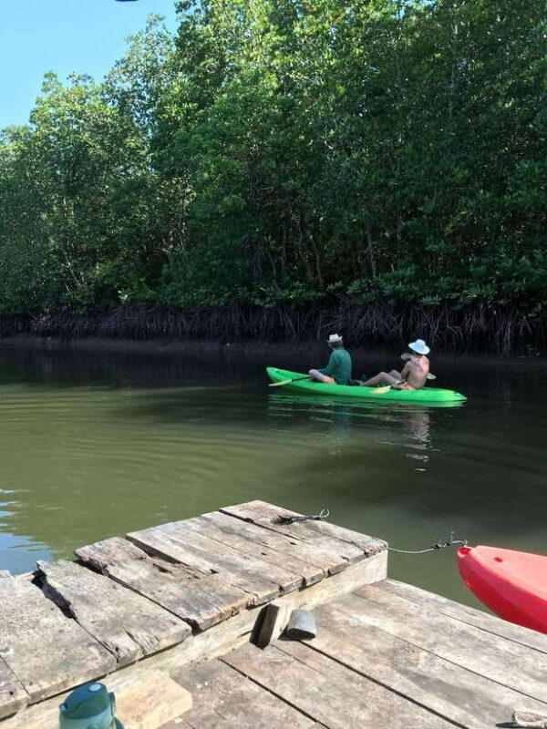 Ko Lanta: Half-Day Mangrove Kayaking Tour with Lunch - The Sum Up