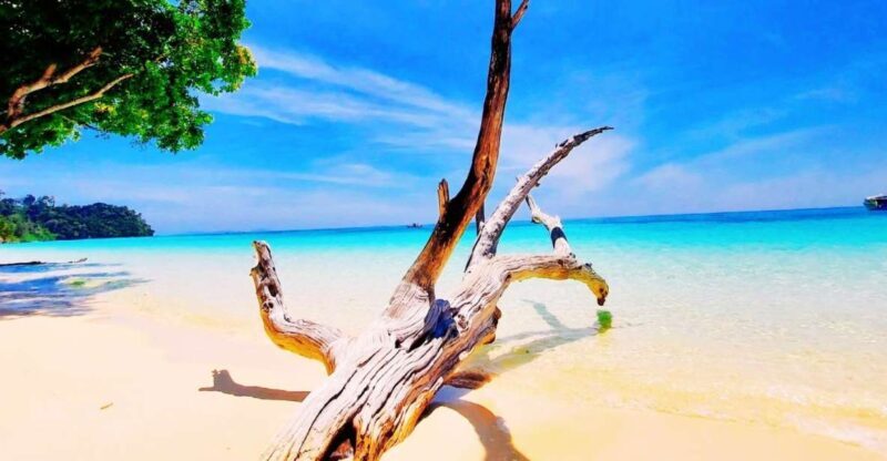 Ko Lanta: Koh Rok & Koh Haa Snorkelling Tour by Speedboat - Key Points