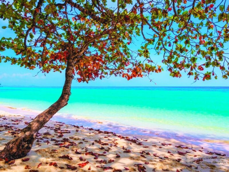 Ko Lanta: Koh Rok & Koh Haa Snorkelling Tour by Speedboat - FAQ